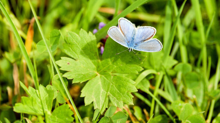 Read more about the article Spring Has Sprung… Do You Believe It? 