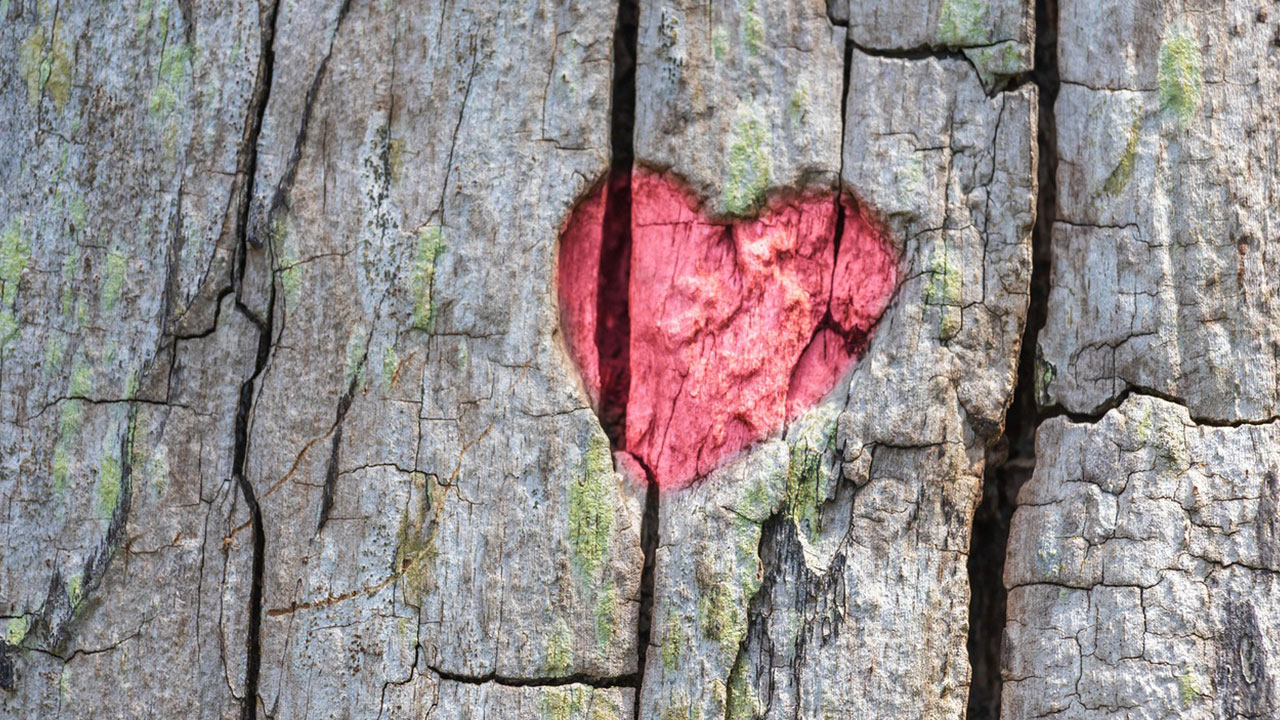 Read more about the article How I Use “How to Create the Love You Seek” in Therapy