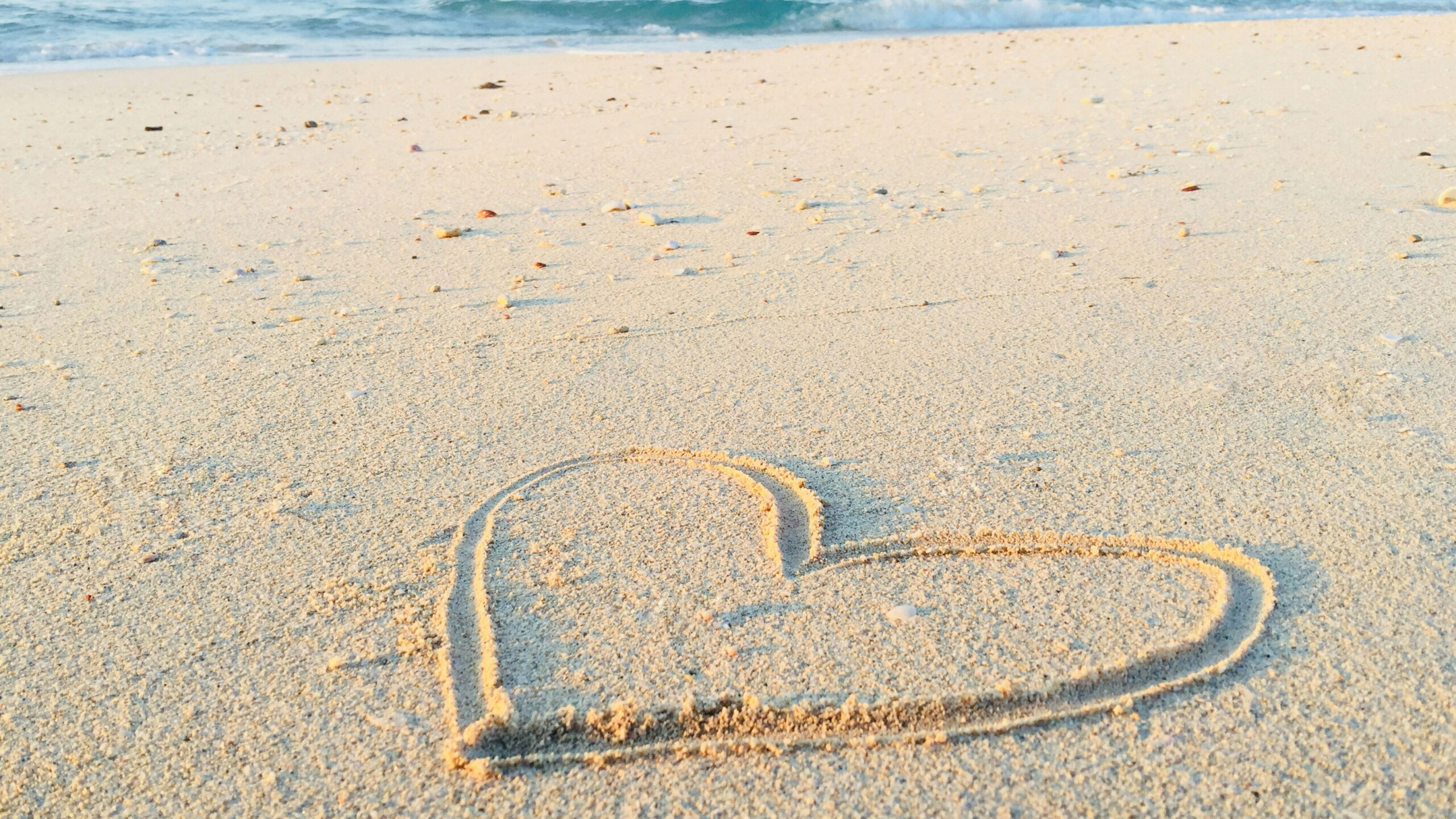 You are currently viewing When Adults Bully Adults: A Reminder to Choose Compassion on Social Media